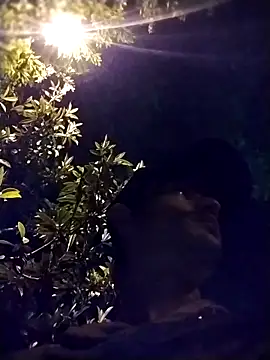 perrongo21 online show from October 29, 2025, 4:48 am