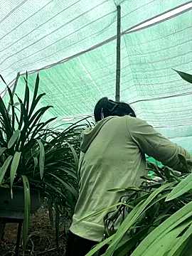 miemie-xx online show from January 8, 2026, 7:43 am