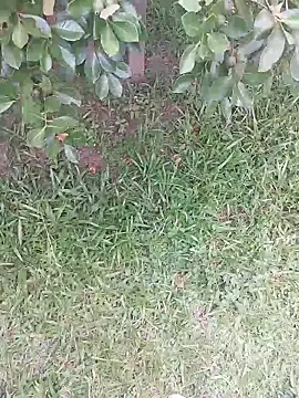 Merlin2310 online show from February 9, 2026, 7:40 pm