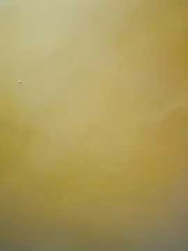 tamil-mala23 online show from October 18, 2025, 11:44 am