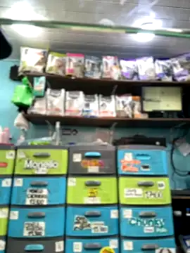 Lucy 699 online show from November 16, 2025, 7:41 pm