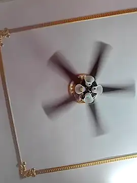 Snapshot of Dr_Bangla chatting on November 1, 2025, 5:42 am Dr Bangla online show from November 1, 2025, 5:42 am