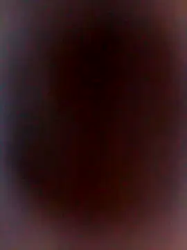 DankNewcomer online show from October 31, 2025, 2:18 pm