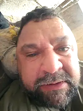 wallcava online show from February 12, 2026, 6:25 pm