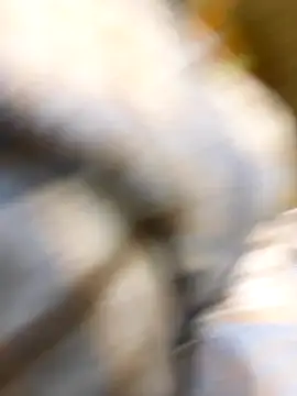  xiaoniaojiang online show from October 15, 2025, 10:37 am