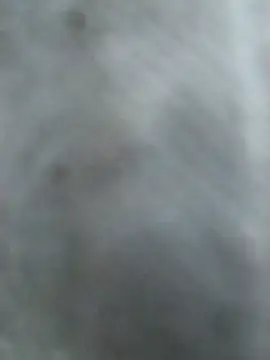 Snapshot of Hottypriya69 chatting on November 2, 2025, 2:41 pm Hottypriya69 online show from November 2, 2025, 2:41 pm