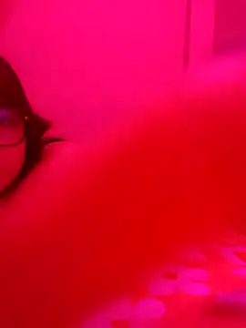 xcodigorojo online show from November 20, 2025, 6:57 am