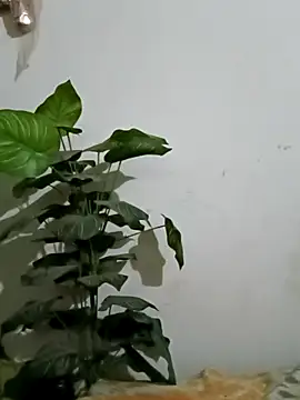 Jessica-03 online show from March 5, 2026, 6:04 pm