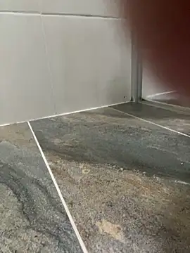 Dani anal ts online show from October 29, 2025, 8:54 pm