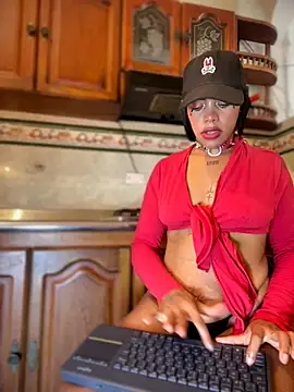 NovaFoxx online show from November 9, 2025, 2:04 pm