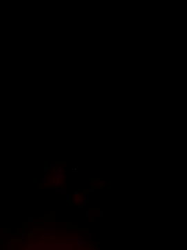 ShavenScope24 online show from December 1, 2025, 5:40 pm