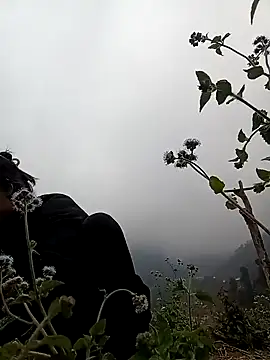 -Kem-01 online show from February 11, 2026, 10:20 am