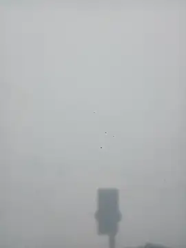 strip queennn online show from November 10, 2025, 5:45 pm