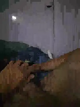 shainnfk online show from March 1, 2026, 11:23 am