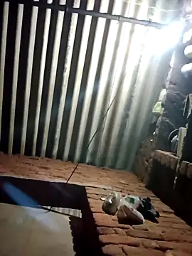 M-MAYA online show from February 19, 2026, 4:47 pm