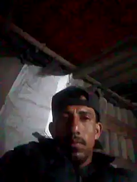 Orlao25cm online show from October 18, 2025, 8:04 am