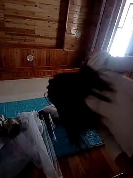 kokoto-59 online show from February 7, 2026, 1:09 am