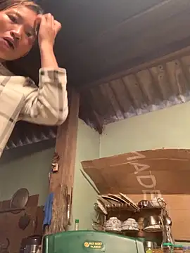 sowbibi online show from November 1, 2025, 1:29 am