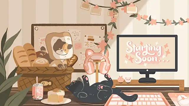 Snapshot of geekycastillo chatting on January 17, 2026, 3:22 am geekycastillo online show from January 17, 2026, 3:22 am