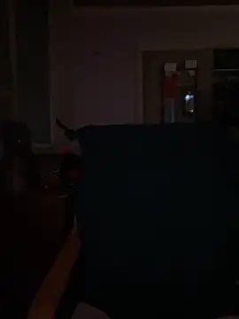 Snapshot of Macduckd chatting on February 13, 2026, 6:53 am Macduckd online show from February 13, 2026, 6:53 am