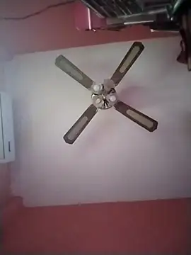 Danii2005 online show from December 17, 2025, 5:30 pm