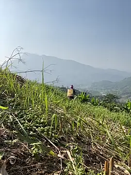 Irin jo online show from November 23, 2025, 6:46 am