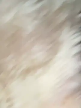 Irin jo online show from February 2, 2026, 12:42 am