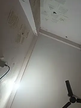 indoregigolo online show from October 29, 2025, 3:03 pm