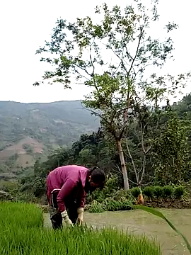 Snapshot of Noelle-e chatting on April 11, 2026, 10:41 am Noelle-e online show from April 11, 2026, 10:41 am