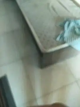 Snapshot of Telugus chatting on November 7, 2025, 7:08 am Telugus online show from November 7, 2025, 7:08 am