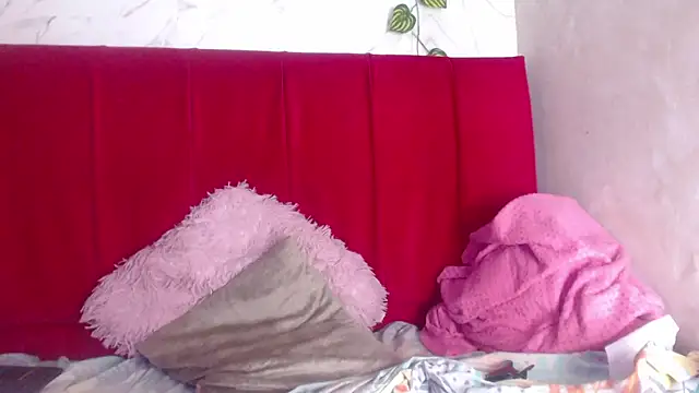 Snapshot of amandacanelacm chatting on February 1, 2026, 12:48 pm amandacanelacm online show from February 1, 2026, 12:48 pm