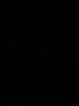 WildNour online show from April 13, 2026, 11:05 am