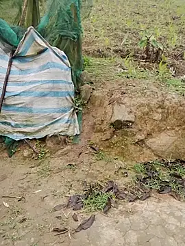 doggy-00 online show from April 16, 2026, 11:40 pm