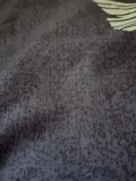 bigtelugubhama online show from February 25, 2026, 7:18 am