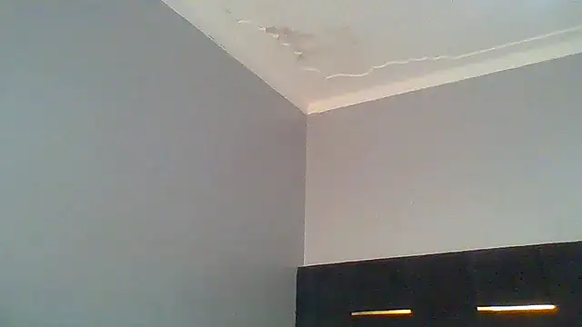 sashachin online show from March 13, 2026, 5:03 am