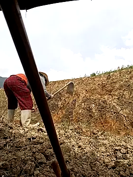 yoyo-mi online show from May 29, 2026, 7:50 am