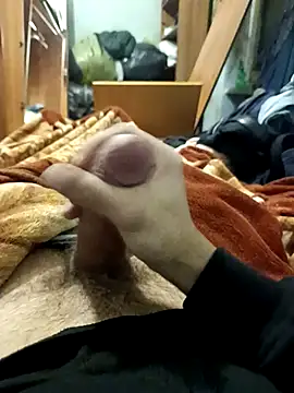 Snapshot of KaTorino chatting on February 3, 2026, 11:21 pm KaTorino online show from February 3, 2026, 11:21 pm