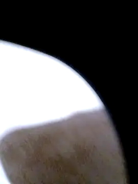 pino870 online show from February 20, 2026, 12:29 am