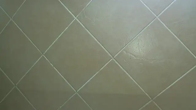 NewBeginnings8 online show from December 15, 2025, 12:53 pm