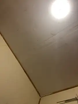 gatitaamelosa online show from April 25, 2026, 11:02 am