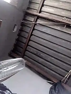 Teddypuer online show from November 2, 2025, 12:40 pm