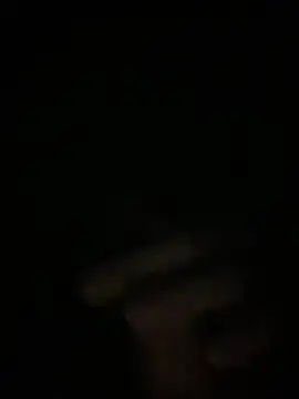 Manfredini607452 online show from November 26, 2025, 12:44 am