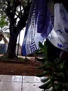 moreninho564 online show from November 25, 2025, 4:40 pm