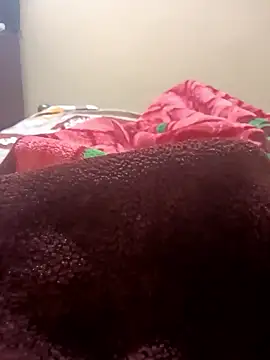 tamal2511 online show from January 14, 2026, 3:50 pm