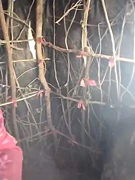 Jooli cuty online show from February 20, 2026, 11:11 am