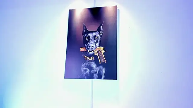 stiven 24cm online show from November 15, 2025, 8:44 am