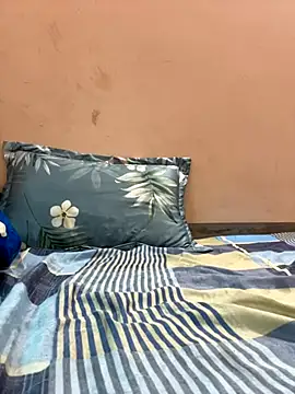 Dilen 7533 online show from November 14, 2025, 1:37 am