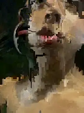 Snapshot of mara_rosseX chatting on November 9, 2025, 6:33 am mara rosseX online show from November 9, 2025, 6:33 am