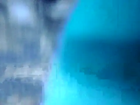 Bistrov19 online show from November 7, 2025, 9:15 pm