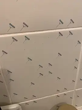 takekichi online show from March 25, 2026, 8:31 am